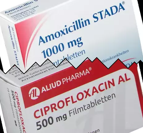 Amoxicilline contre Ciprofloxacine