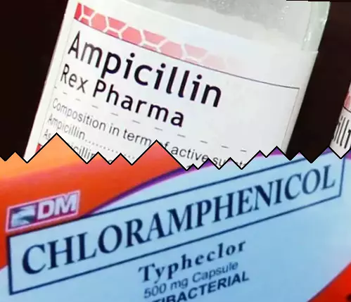 Ampicilline contre Chloramphénicol
