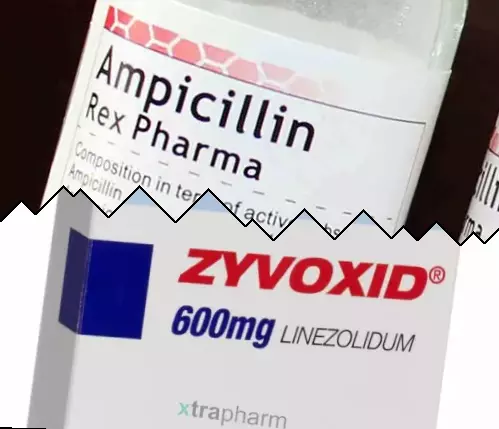 Ampicilline contre Zyvox