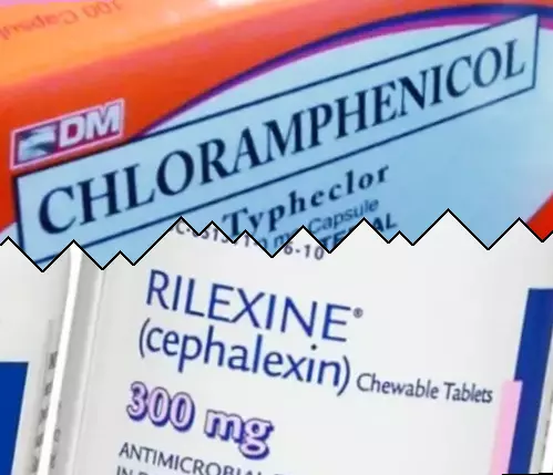 Chloramphénicol contre Céphalexine