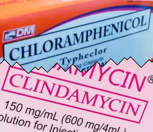 Chloramphénicol contre Clindamycine