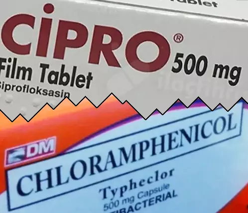 Cipro contre Chloramphénicol